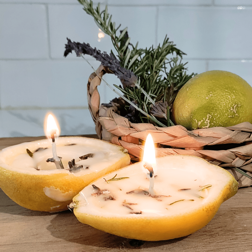 REPELENTE NATURAL DE&nbsp;MOSQUITOS