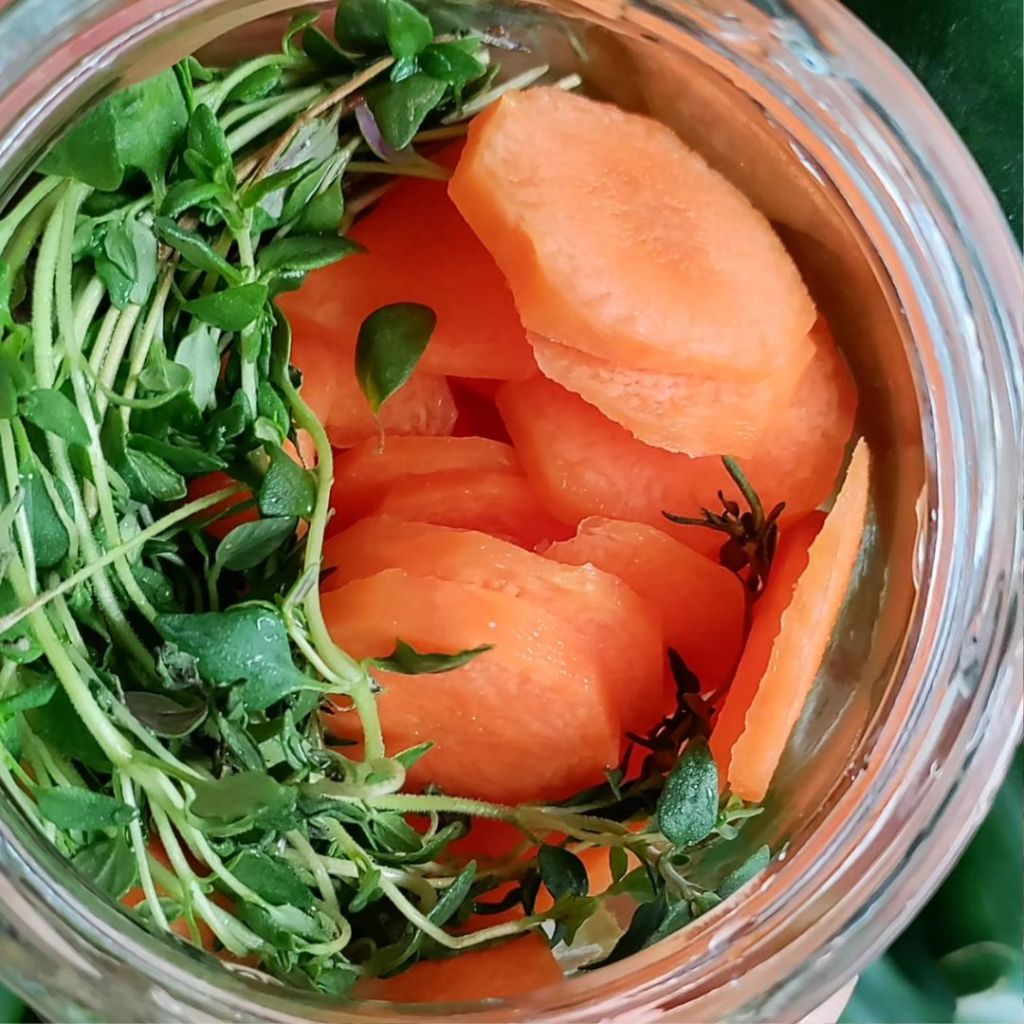 XAROPE DE CENOURA, TOMILHO, LIMÃO E&nbsp;MEL